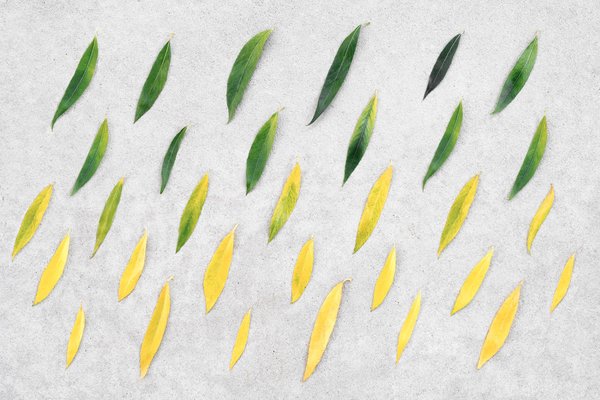 Le passage au collège : comment développer les compétences essentielles pour une transition en douceur