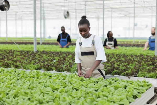 Qu'est-ce qu'un comportement non éthique ?